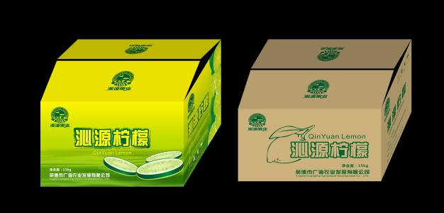 水果紙箱包裝(zhuāng)設計的流程